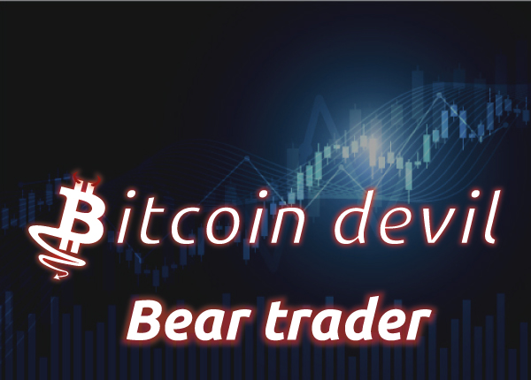Bear Trader cover